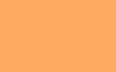 Hermosas imágenes de fondo de Vector de color sólido | Plantilla de fondo de color sólido premium