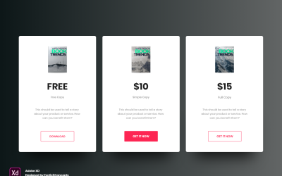 Целевая страница заголовка Hero таблицы цен на электронные книги Adobe XD Template Vol 074