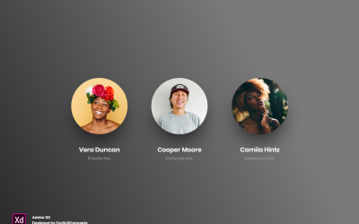 Página inicial do cabeçalho do herói da seção da equipe Adobe XD Template Vol 080