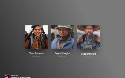 Team Section Hero Header nyitóoldal Adobe XD Template Vol 081