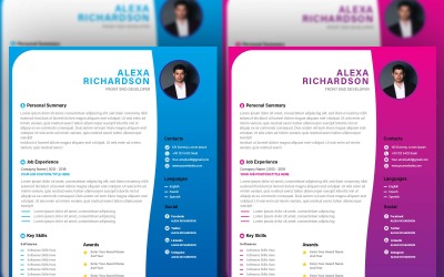 Profesionální front-end vývojář Resume - Resume Design