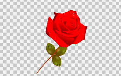 ramo de rosas realista de rosa roja vectorial con idea de diseño de flor roja