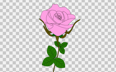 vector pink rose realistic rose bouquet with red flower use for card