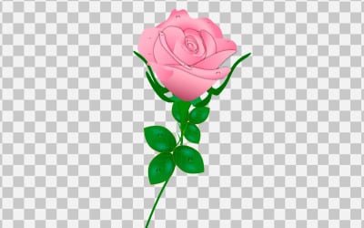 vector red rose realistic rose bouquet with flower concept