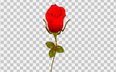 Vektorrose realistisches Rosenblatt und -knospe mit rotem Blumenkonzept