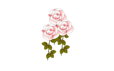 Vector red rose use for valentine's day greeting card templates