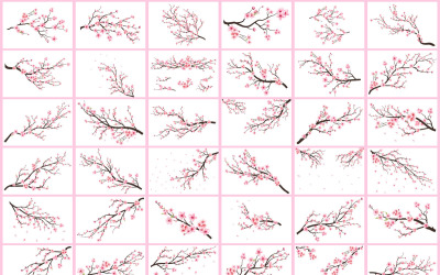 Collection de branches de fleurs de cerisier