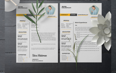 Currículo CV Profissional e Único Currículo e CV UX e design de interface do usuário