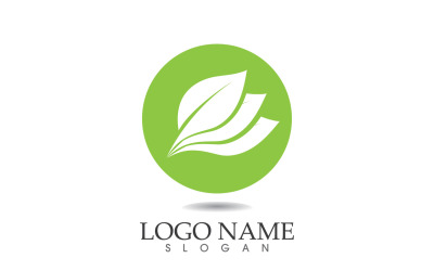 Verde eco hoja naturaleza fresca logo vector v23