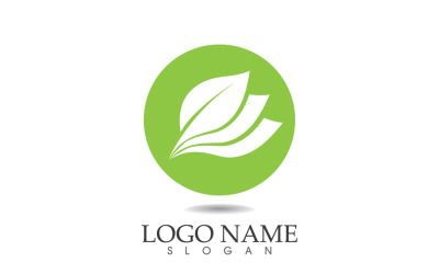 Vetor de logotipo fresco da natureza da folha ecológica verde v23