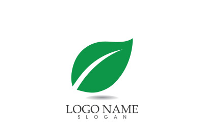 Vetor de logotipo fresco de natureza de folha ecológica verde v15