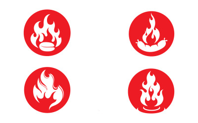 Fuego asado y diseño vectorial de símbolos v32