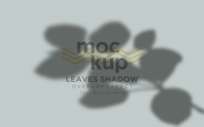 Leaves Shadow Overlay Effect Mockup 293