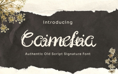 Caimellia - Шрифт подписи сценария