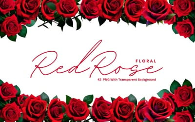 Ensemble de PNG premium floral rose rouge