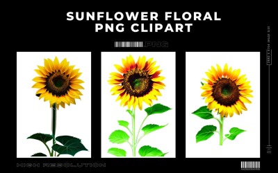 Girassol Floral PNG Clipe Premium Vol.1