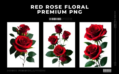 Красная роза цветочная премиум PNG Vol.1