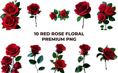 Красная роза цветочная премиум PNG Vol.3