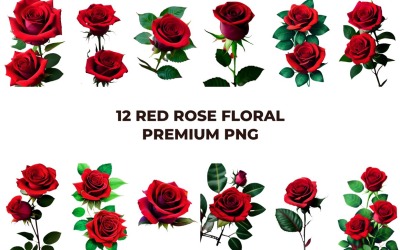 Red Rose Floral Premium PNG Vol.4