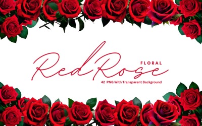 Rote Rose Blumen-Premium-PNG-Paket