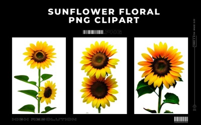 Sunflower Floral Premium PNG klipart Vol.2