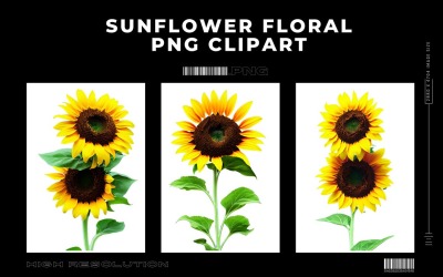 Zonnebloem Bloemen Premium PNG Clipart Vol.3