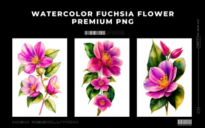 Akvarell Fuchsia Flower PNG Vol.5