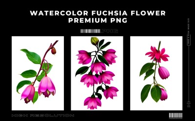 Akwarela Fuksja Kwiat PNG Vol.2