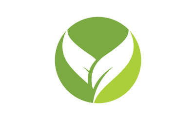hoja verde ecología naturaleza hoja árbol v43