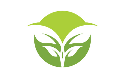 hoja verde ecología naturaleza hoja árbol v45