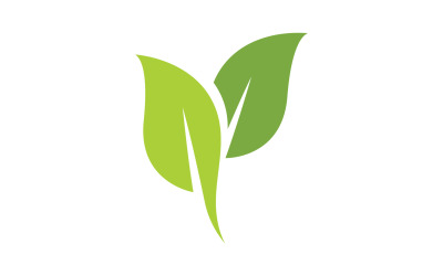 Leaf green ecology nature leaf tree v15