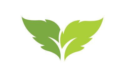 Leaf green ecology nature leaf tree v24