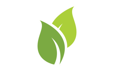 Leaf green ecology nature leaf tree v25