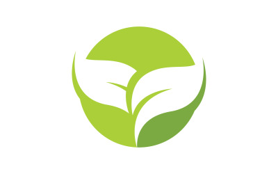Leaf green ecology nature leaf tree v29