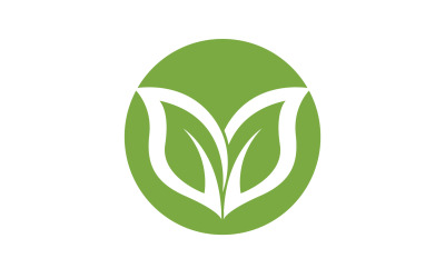Leaf green ecology nature leaf tree v41