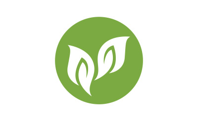 Leaf green ecology nature leaf tree v42