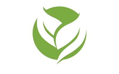 Leaf green ecology nature leaf tree v49