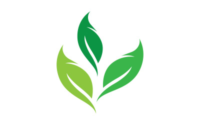 Leaf green ecology nature leaf tree v8