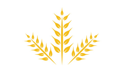 Agriculture wheat rice food logo v1