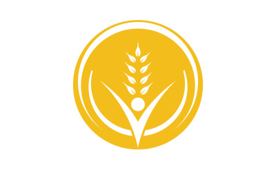 Agriculture wheat rice food logo v22