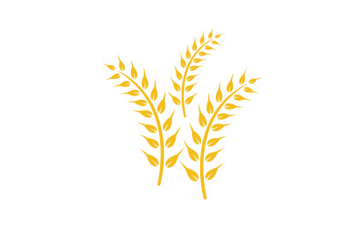 Agriculture wheat rice food logo v25