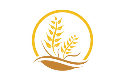 Agriculture wheat rice food logo v6