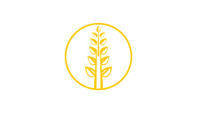 Wheat rice oat food logo design v22