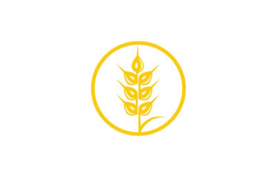 Wheat rice oat food logo design v7