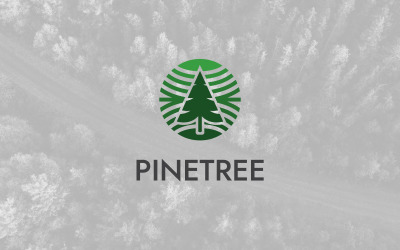 Çam ağacı daire doğal logo tasarım şablonu