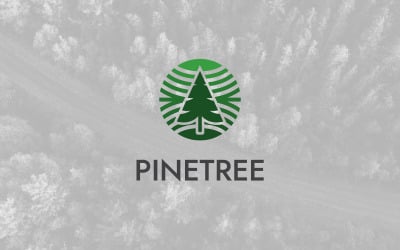 Szablon projektu logo naturalne koło drzewa sosnowego
