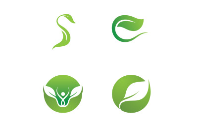 Hoja de té de árbol verde de hoja ecológica y logotipo de hoja de naturaleza v51