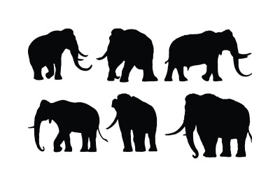 Elefant promenader siluett set vektor