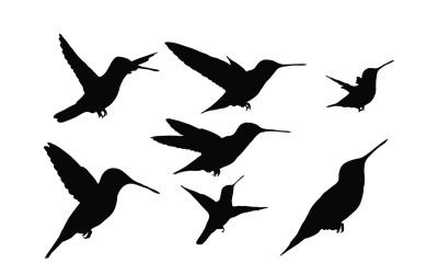 Hummingbird siluett samling vektor
