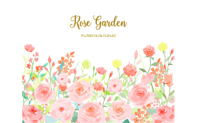 Akwarela Kwiat Kolekcja Rose Garden Ilustracja